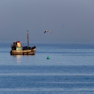 Lüderitz Boats