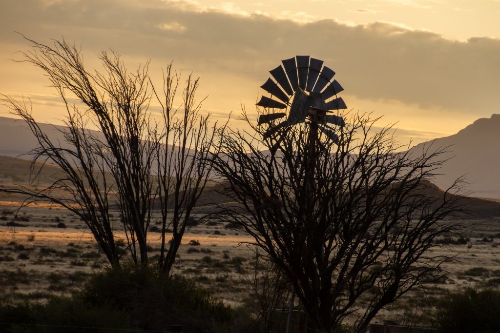 Karoo Windmill