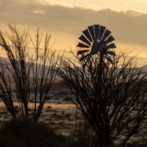 Karoo Windmill